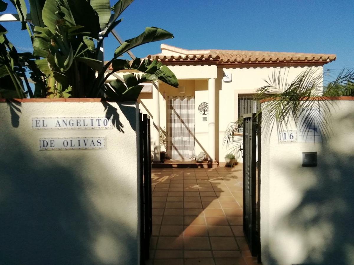 Guest House El Angelito De Olivas ペドレゲール エクステリア 写真